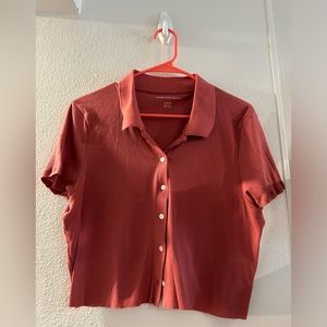 American Eagle preppy cropped button down polo